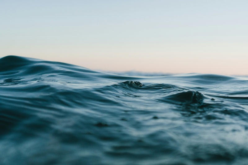 Ocean Collection