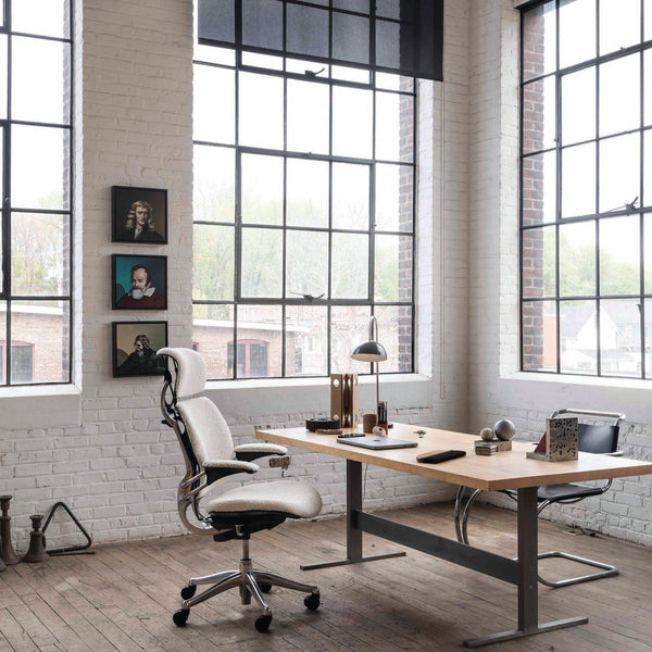 Ergonomic Desk Chairs